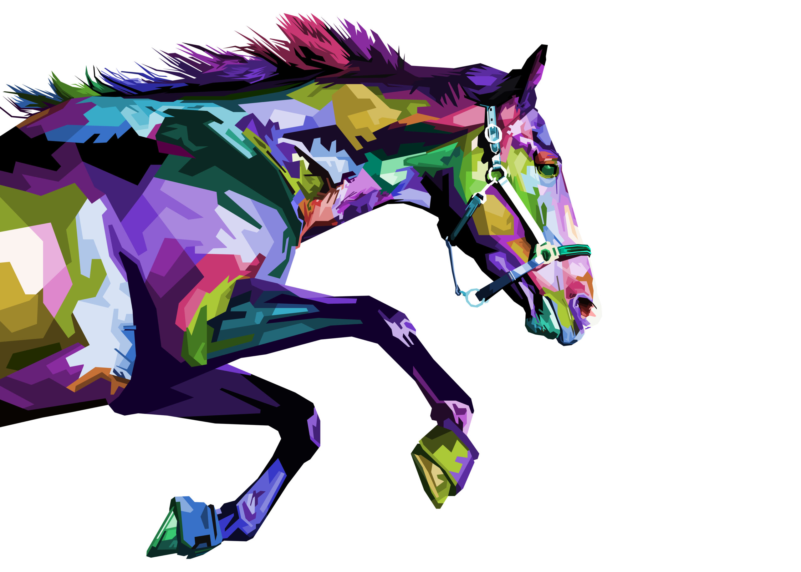 colourful horse running
